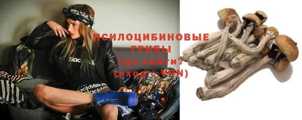 ГАЛЛЮЦИНОГЕННЫЕ ГРИБЫ Алзамай