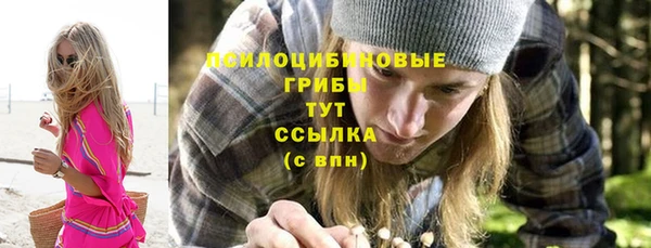ГАЛЛЮЦИНОГЕННЫЕ ГРИБЫ Алзамай