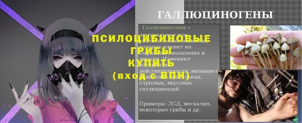 соль ск Покровск