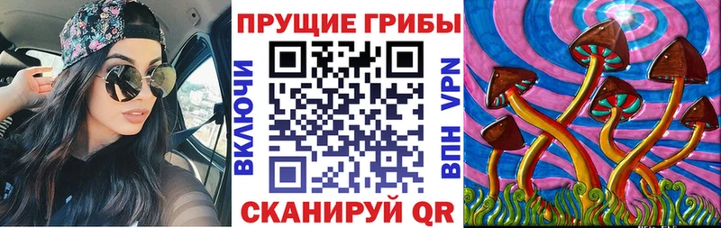 наркота  Махачкала  нарко площадка клад  Галлюциногенные грибы мухоморы 